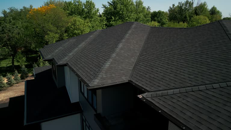 Professional Roofing in Altavista, VA